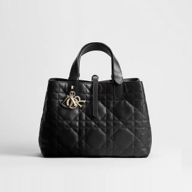 25위 DIOR 디올 뚜주흐 토트백 M2821 5COLOR